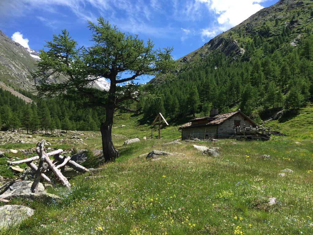Chalet Sunstar Saas-Grund Esterno foto