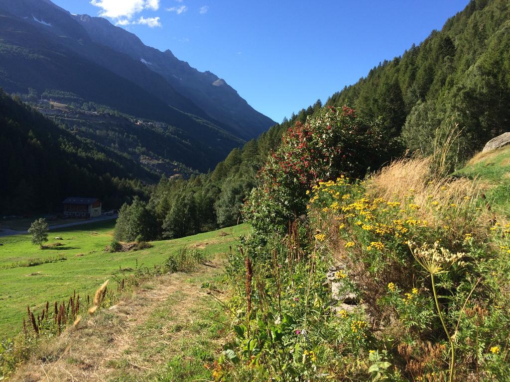 Chalet Sunstar Saas-Grund Esterno foto